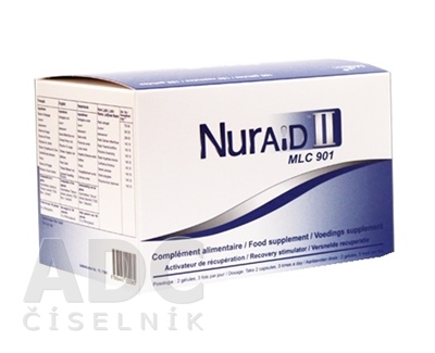 NurAID II