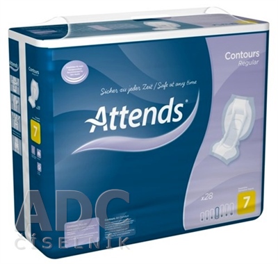 ATTENDS Contours Regular 7