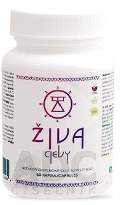ŽIVA cievy