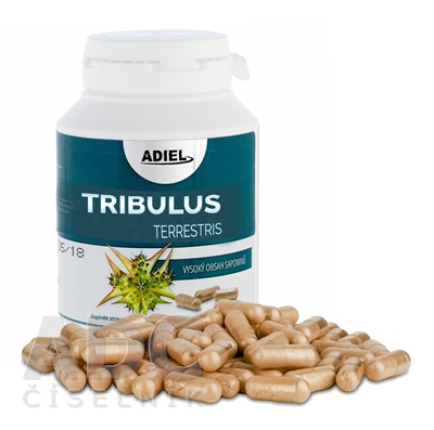 ADIEL KOTVIČNÍK TRIBULUS TERRESTRIS